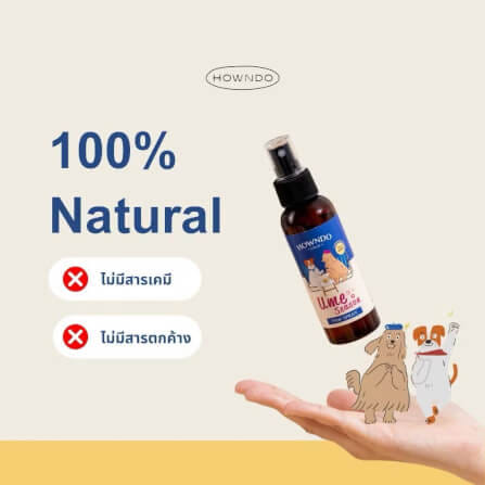 สเปรย์กำจัดเชื้อโรค HOWNDO สูตรอ่อนโยน 100 มล._1